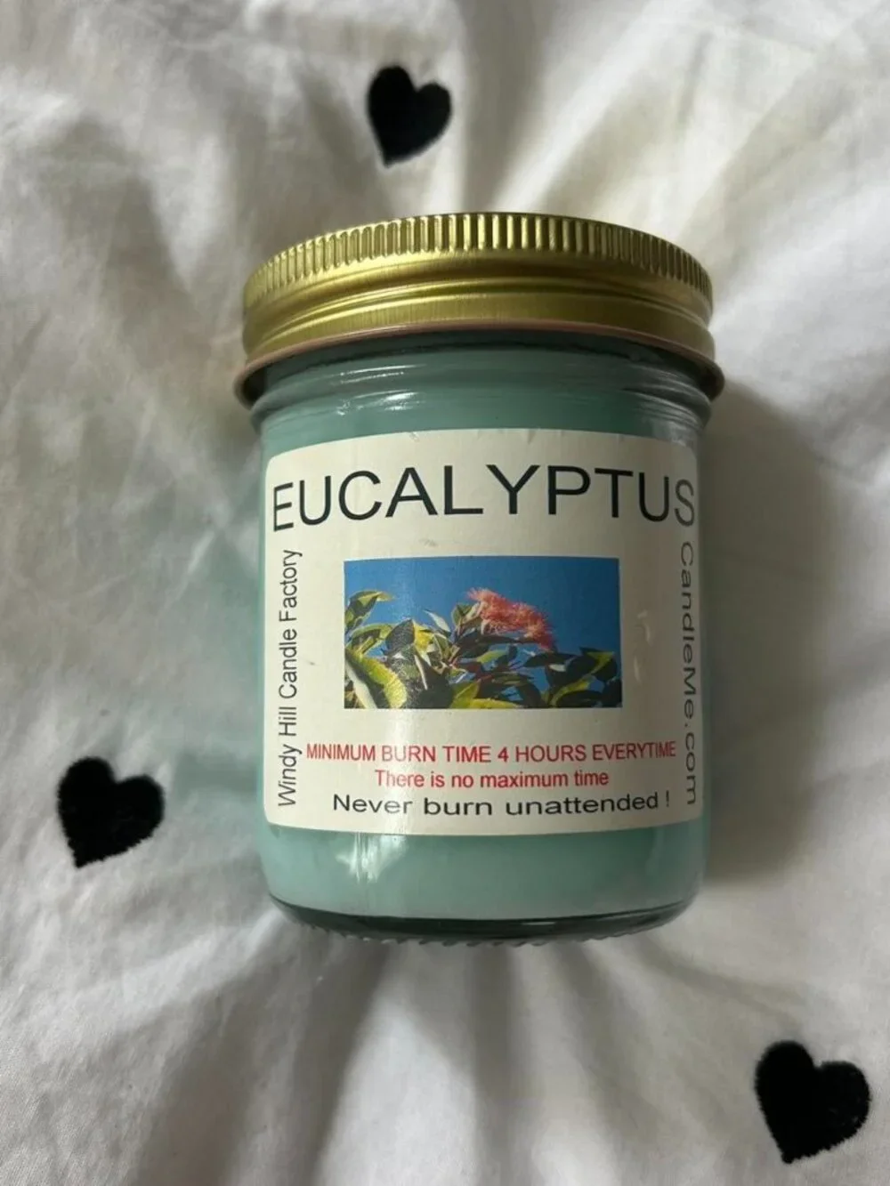 New Eucalyptus Scented Candle